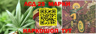гашиш Новодвинск